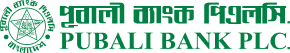 𝗖𝗮𝗿𝗲𝗲𝗿 𝗢𝗽𝗽𝗼𝗿𝘁𝘂𝗻𝗶𝘁𝘆 𝗮𝘁 𝗣𝘂𝗯𝗮𝗹𝗶 𝗕𝗮𝗻𝗸 𝗣𝗟𝗖.